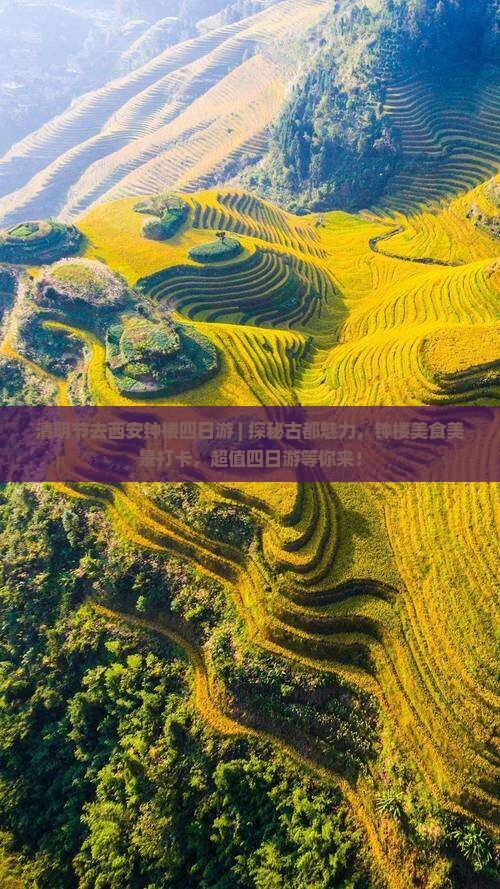 清明节去西安钟楼四日游