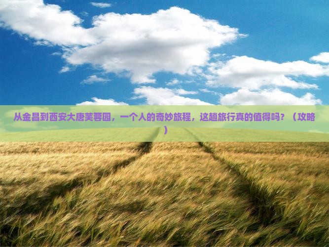 金昌去西安大唐芙蓉园个人游