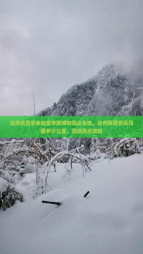 达州去西安秦始皇帝陵博物院必去地