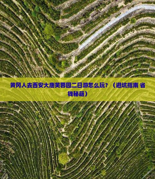 黄冈去西安大唐芙蓉园二日游