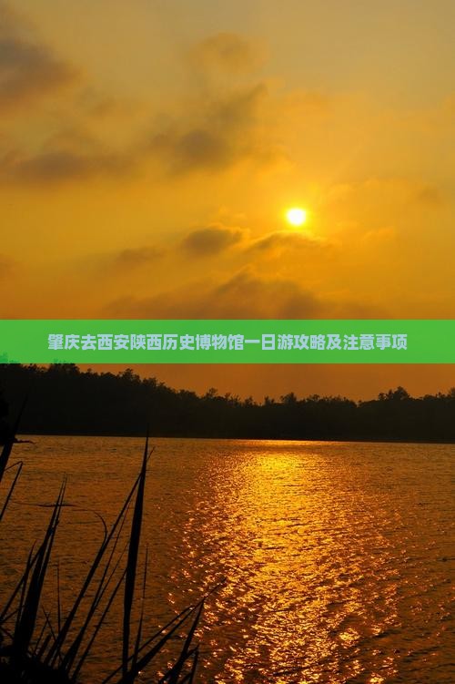 肇庆去西安陕西历史博物馆一日游