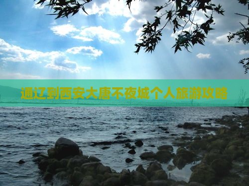 通辽到西安大唐不夜城个人游