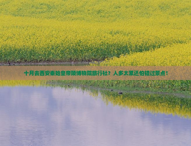 十月去西安秦始皇帝陵博物院旅行社