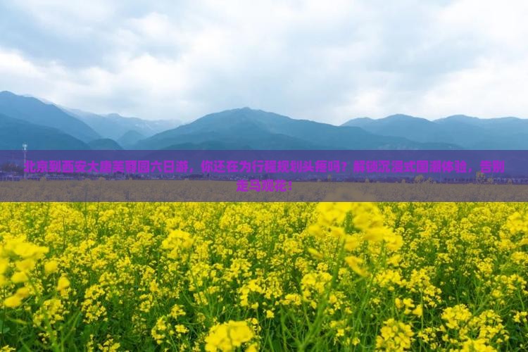 北京到西安大唐芙蓉园六日游