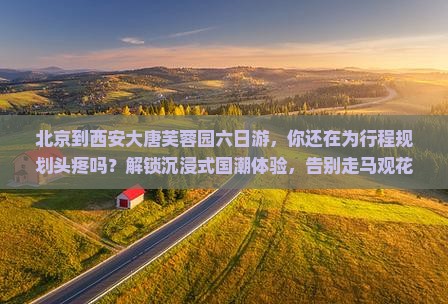 北京到西安大唐芙蓉园六日游