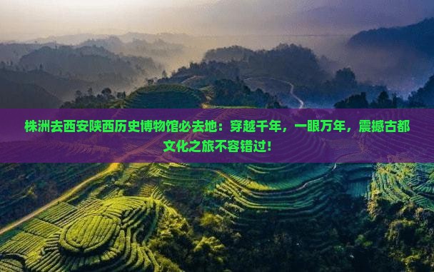 株洲去西安陕西历史博物馆必去地