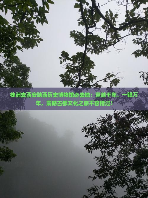 株洲去西安陕西历史博物馆必去地