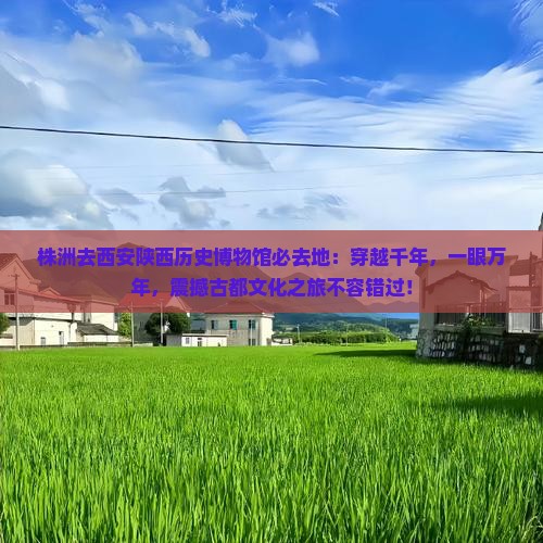 株洲去西安陕西历史博物馆必去地