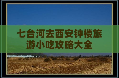 七台河去西安钟楼旅游小吃