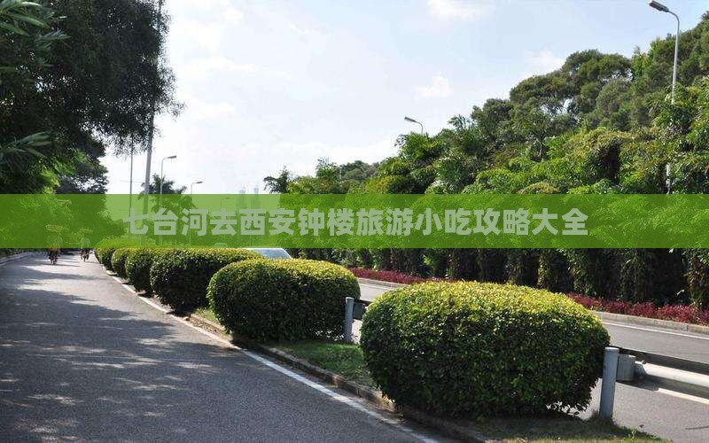七台河去西安钟楼旅游小吃