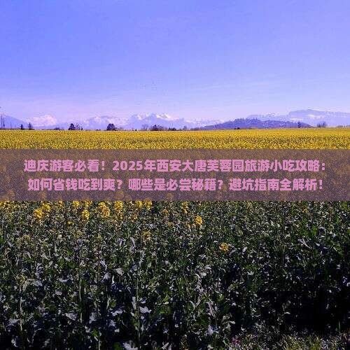迪庆到西安大唐芙蓉园旅游小吃
