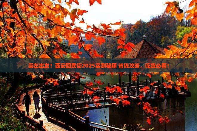 崇左到西安回民街个人游