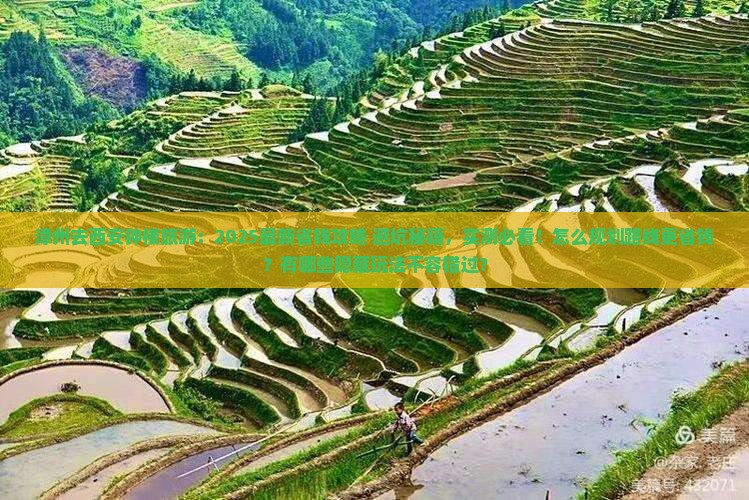 漳州去西安钟楼旅游