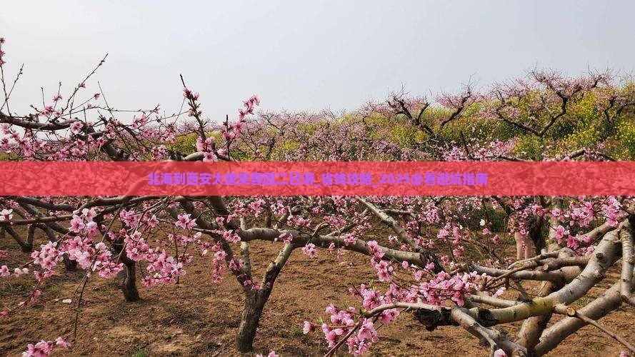 北海到西安大唐芙蓉园二日游