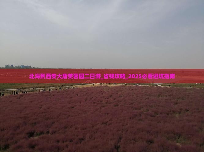 北海到西安大唐芙蓉园二日游