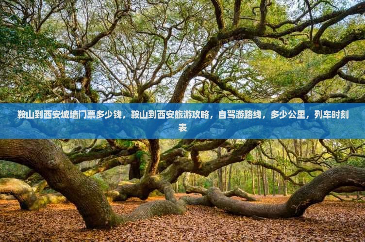 鞍山到西安城墙门票