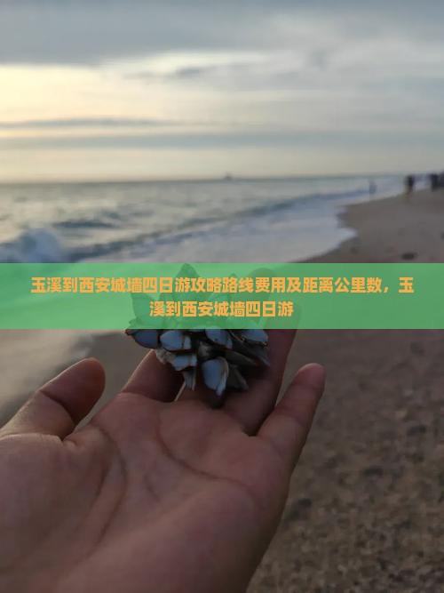 玉溪到西安城墙四日游