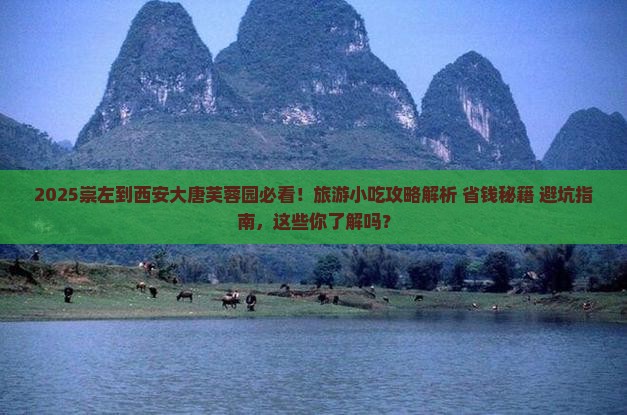 崇左到西安大唐芙蓉园旅游小吃