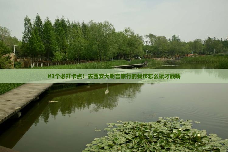 三明去西安大明宫国家遗址公园旅游