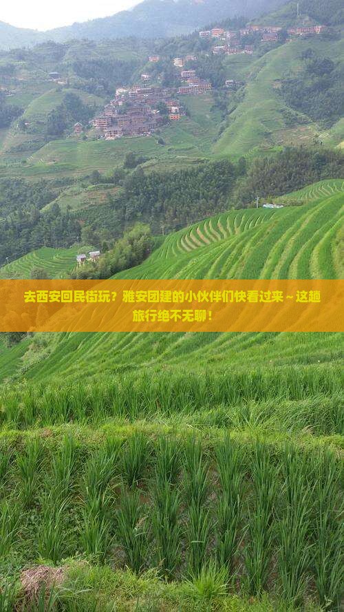 雅安去西安回民街团体旅游