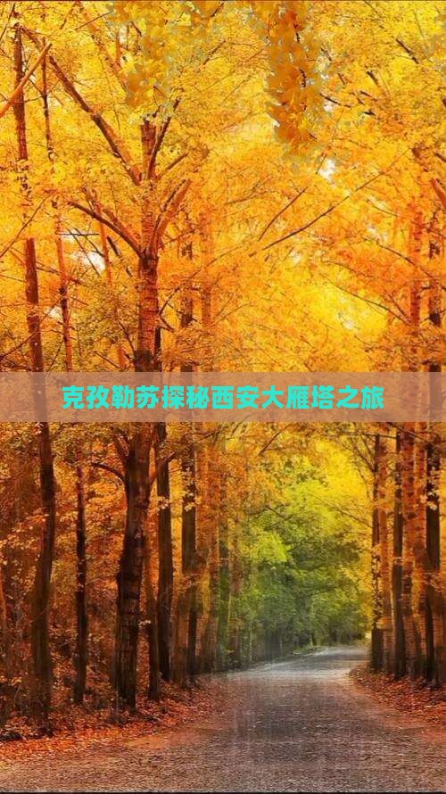 克孜勒苏到西安大雁塔旅游