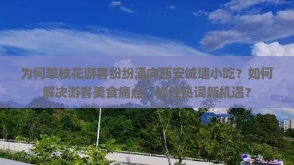 攀枝花去西安城墙旅游小吃