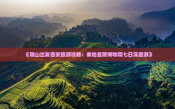 鞍山去西安秦始皇帝陵博物院七日游