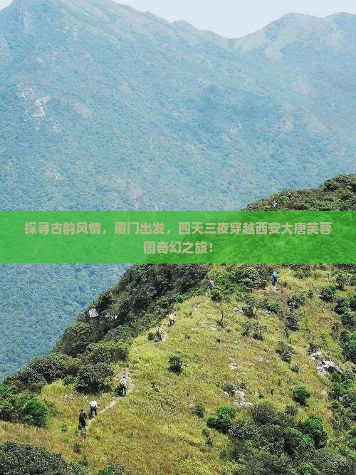 厦门到西安大唐芙蓉园四日游
