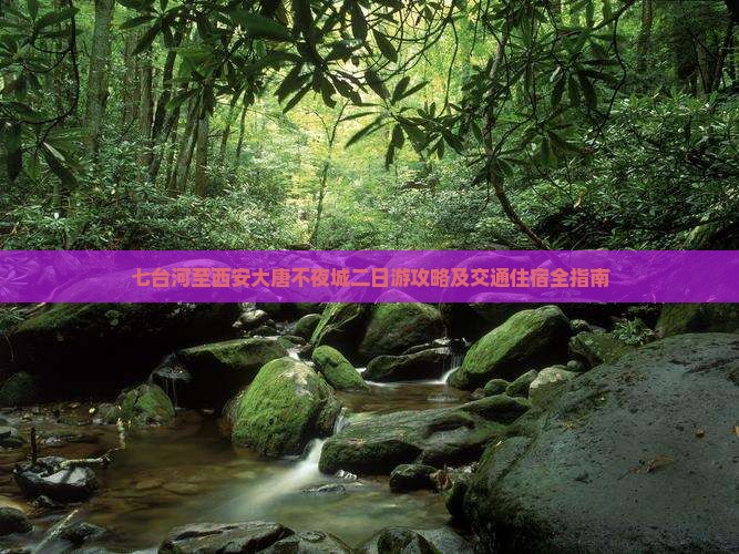 七台河到西安大唐不夜城二日游