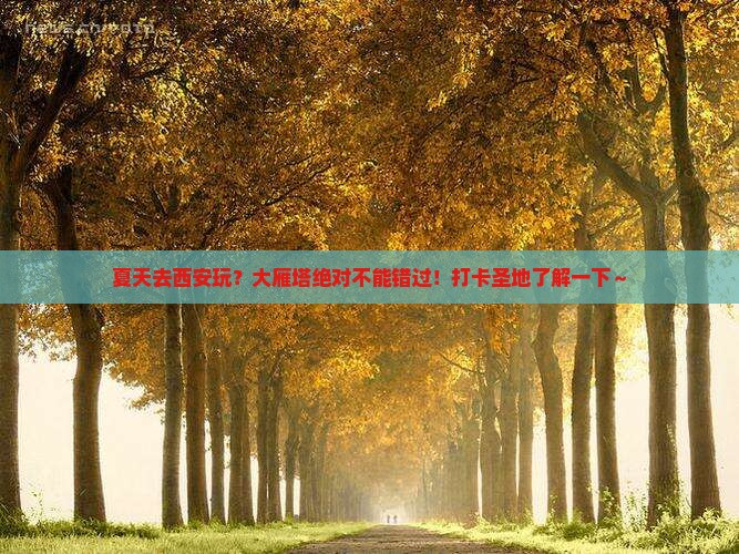 夏天去西安大雁塔必去地