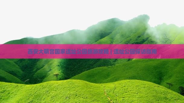 二月去西安大明宫国家遗址公园个人游