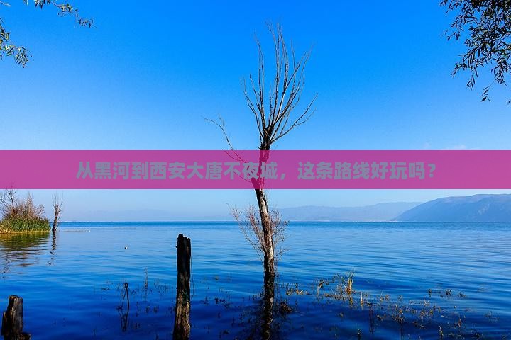 黑河去西安大唐不夜城攻略