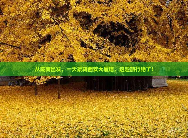 陇南到西安大雁塔一日游