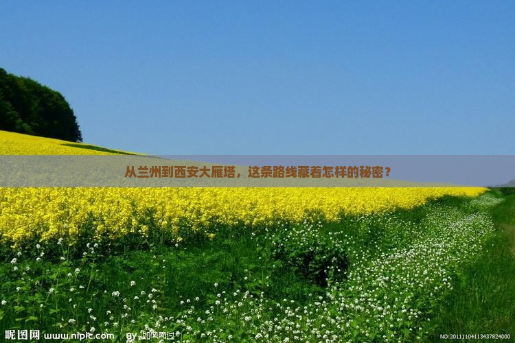 兰州去西安大雁塔旅行社