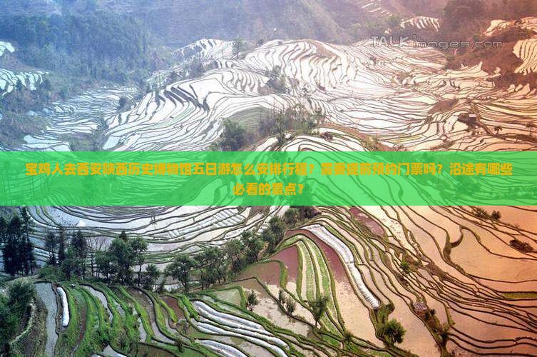 宝鸡去西安陕西历史博物馆五日游