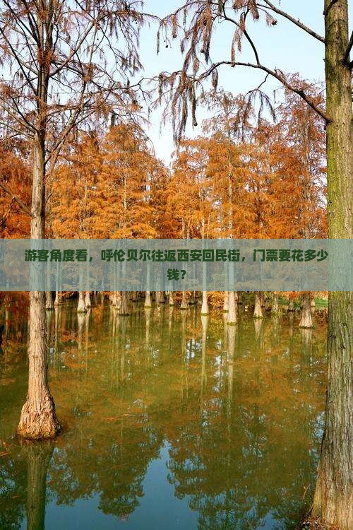 呼伦贝尔去西安回民街门票