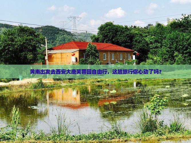 黄南到西安大唐芙蓉园自由行