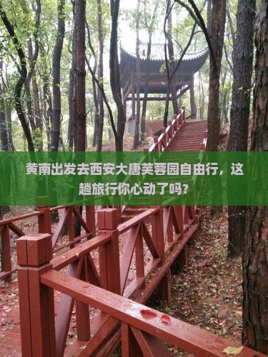 黄南到西安大唐芙蓉园自由行