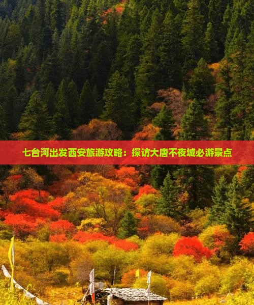 七台河去西安大唐不夜城景点