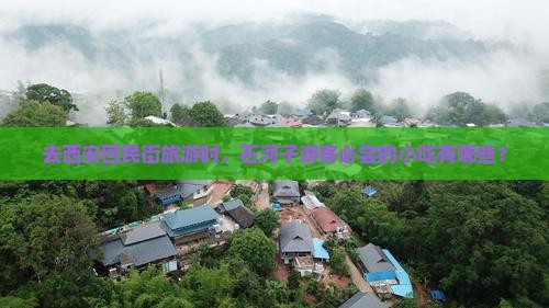 石河子去西安回民街旅游小吃
