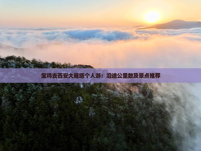 宝鸡去西安大雁塔个人游