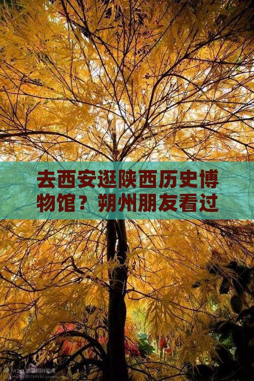 朔州去西安陕西历史博物馆攻略
