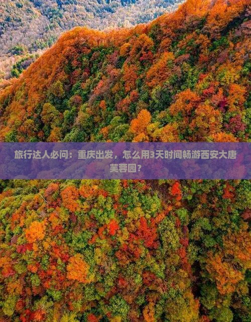 重庆到西安大唐芙蓉园景点
