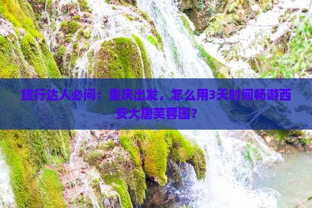 重庆到西安大唐芙蓉园景点