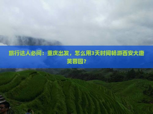 重庆到西安大唐芙蓉园景点