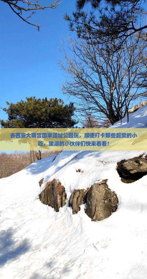 巢湖去西安大明宫国家遗址公园旅游小吃