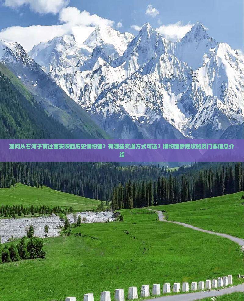 石河子去西安陕西历史博物馆景点