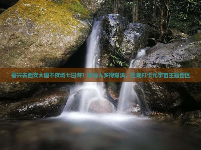 嘉兴去西安大唐不夜城七日游