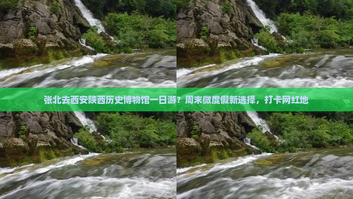 张北去西安陕西历史博物馆一日游