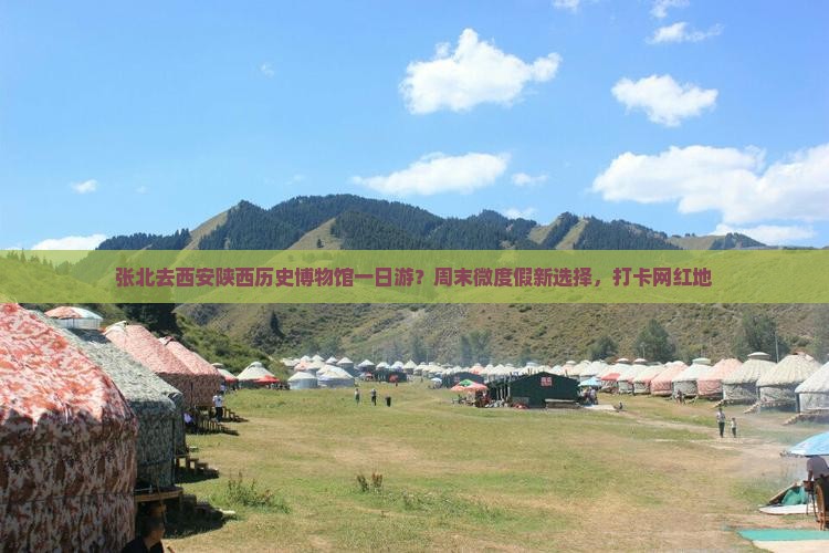 张北去西安陕西历史博物馆一日游